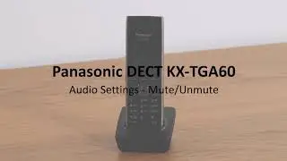 Panasonic DECT KX-TGP600 - Audio Settings: Mute / Unmute a call