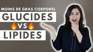 Lipides ou glucides - Lequel Nous Aide à Perdre Plus de Gras Corporel ?