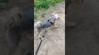 Подстригся,побрился перед отпуском 😁