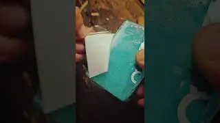 Дерево с Планеты Земля и Меркурий