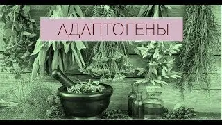 Обзор АДАПТОГЕНОВ ( И аптечной фармы ) Которые я употребляю.