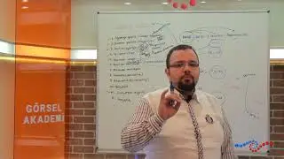 Öğretim Yöntem ve Teknikleri - Yakından Uzağa İlkesi Nedir ?