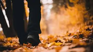 Crunchy Leaves ASMR - a walk in autumn - free sound effect