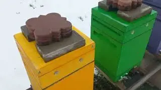 Двухсемейная Зимовка в Миниплюсах от Пеноулик!!!