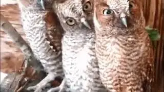 Знания...
