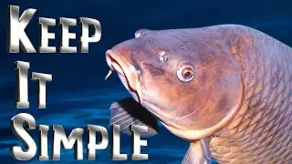 How to catch carp - easy and cheap carp fishing tips - carp bait #carpfishing #carpbait #corn