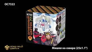 Мишки на севере OC 7322 салют 25 залпов