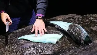 Catch and Cook BLUE Meat Lingcod on a Sheer Cliff After 3 Dudes Fail Spearfishing