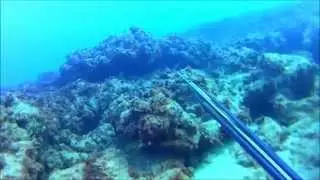 Подводная охота в Наарие 01 03 2014