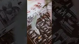 Обо всем на свете в цвете. Обзор книги