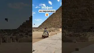Наглость второе счастье или как!?😠 