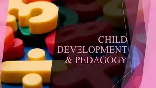 CTET December 2019 Paper 2,Answer Key(Child development and pedagogy) Part-2