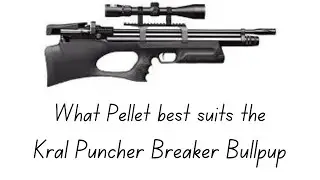 What Pellet best suits the Kral Puncher Breaker Bull pup