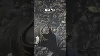 WATERFALLS in RED DEAD REDEMPTION 2 hide THIS... 🌊