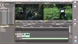 Detailed Adobe Premiere & Dynamic Linking Workflow