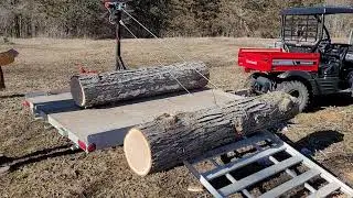 Moving a big oak log with winch effortlessly