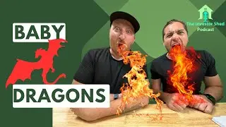 S4E3 Baby Dragons in Real Estate Investing - Investor Shed Podcast
