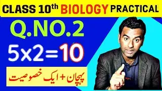 10th bio practical guess paper 2024|10th biology practical 2024| important practicals bio 10th class