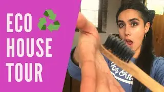 Pequeños Cambios para ser más Sustentable desde tu Hogar | Cuida el Medio Ambiente