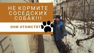 ПЕРЕЕЗД В ДЕРЕВНЮ \ ДЕЛАЕМ ДРЕНАЖ 