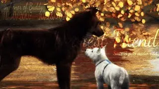 Owner Dearest Friend Sims 3 pets audio edit