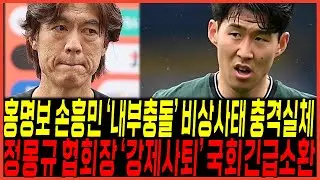 하다하다 결국에 터진 홍명보 호 팔레스타인전 "손흥민과 내부마찰" 나왔다 / 정몽규 협회장 국회 "긴급소환"
