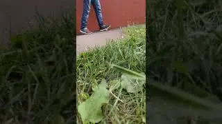 Запрещенная реклама Кока Кола