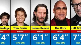 Real Heights of 300 Hollywood Actors - How Tall Are They Really?