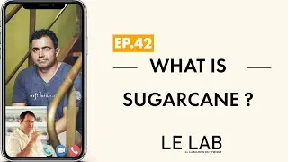 What is Sugarcane ? (ep.  42)