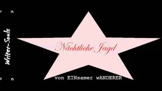 Nächtliche Jagd