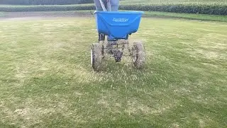 Cheapest easiest way to top dress with sand (lite topdressing)