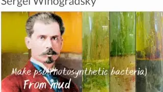 How to make PSB(photosynthetic bacteria)from mud!
