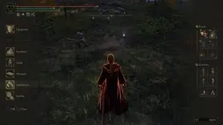 ELDEN RING™ - PS4 hacker?