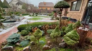 THE STORY OF MULCH IN OUR GARDEN, WHERE IT ALL STARTED? Q&A!
