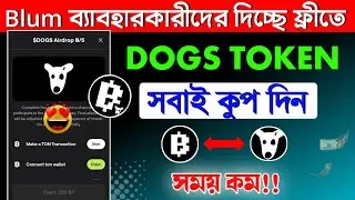 Blum give free dogs coin | Blum user dogs token bonous task | Dogs token bonous for blum user