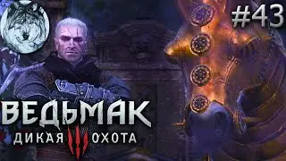 Ведьмак 3: Дикая Охота (PC). Part 43/46. DLC: Кровь и вино. Полное прохождение. Longplay. Игры 2010х