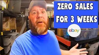 We had Zero Ebay Sales on Purpose