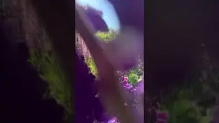 😂😆ДАЧНИКИ=КРИМИНАЛ 