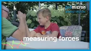 spike–sensory tool holder: operating principle
