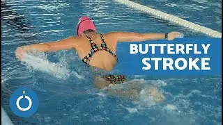 Learn to SWIM BUTTERFLY 🦋  Tips and Techniques for Beginners