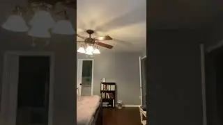 DADPERFECT: Trust Shot