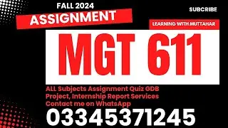 mgt611 solution fall 2024