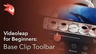 Enlight Videoleap for Beginners: Base Clip Toolbar