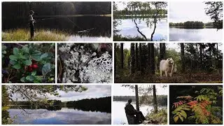 Отдых на природе. Рыбалка. Карелия. Красивая природа Пряжинского р-на .Август 2024 .