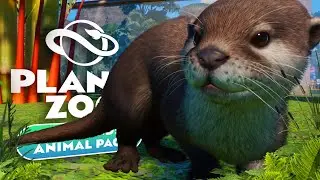 ANIMAL SHOWCASE! All The New Wetland Pack Animals (Planet Zoo)