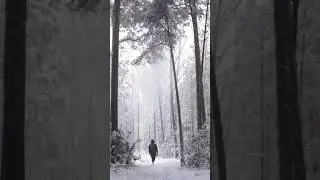 Питание для души