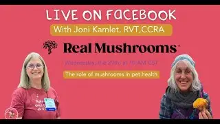 Live with Joni Kamlet, RVT,CCRA - Real Mushrooms