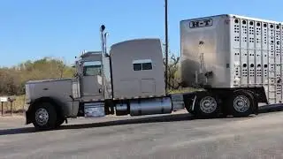 Cattle hauler: Roderick Dickson