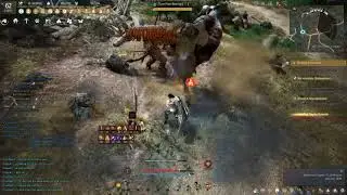 BDO: 267k Sage at Turos