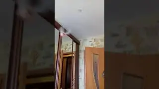 Пожарная свинья